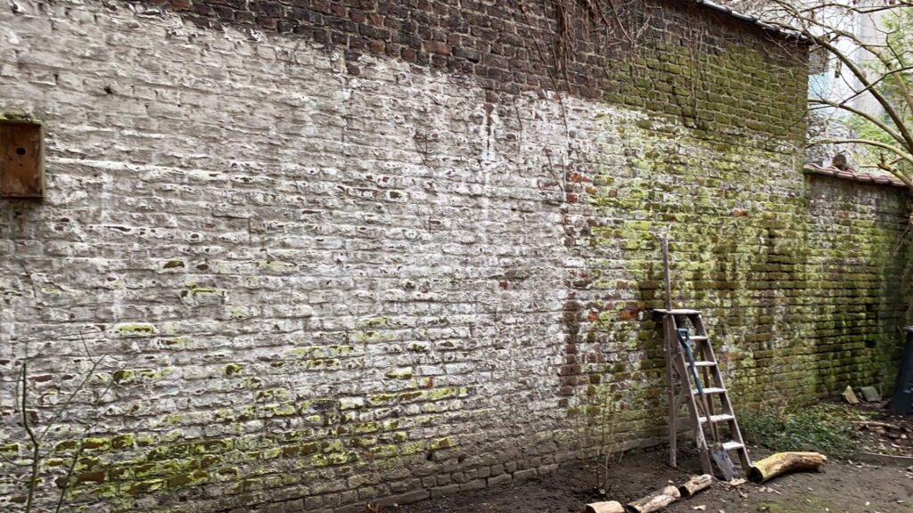 Aménagement de jardin et terrasse à Bruxelles – rénovation et travaux extérieurs par Goldmann.EU