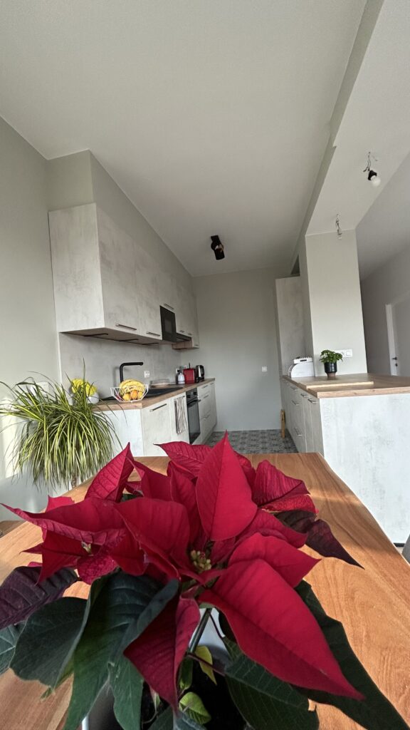 Rénovation de cuisine à Bruxelles – cuisine équipée, pose et aménagement sur mesure par Goldmann.EU